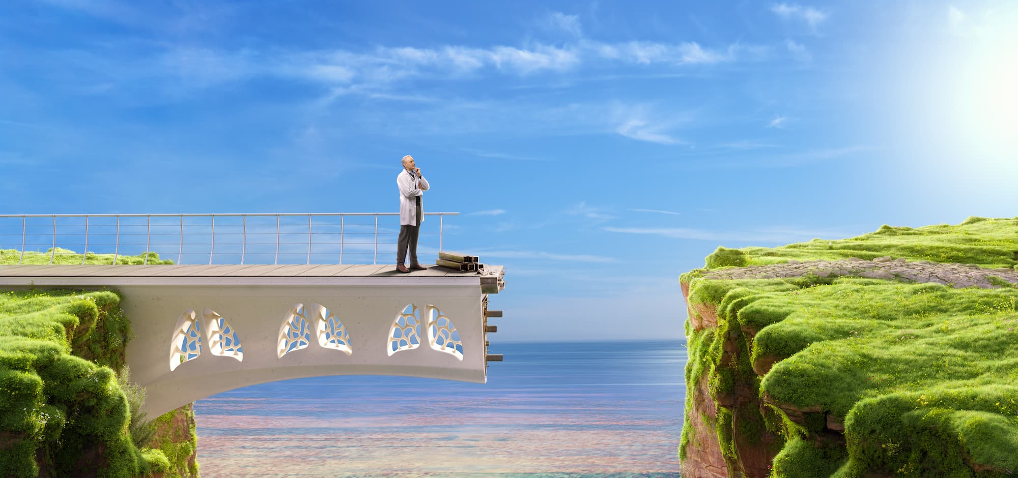 DSE_Bridge
