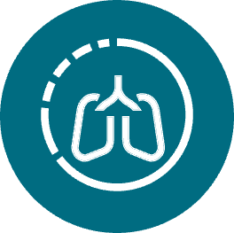 Lung in Focus